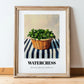 Watercress – on Striped Tablecloth, Vegetable Wall Art, in wooden frame leaning on the floor