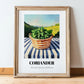 Coriander – Green Valley Landscape, Fresh Herbs Wall Decor, in wooden frame leaning on the floor