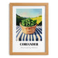 Coriander – Green Valley Landscape, Fresh Herbs Wall Decor, set in oak frame