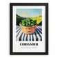 Coriander – Green Valley Landscape, Fresh Herbs Wall Decor, in sleek black frame