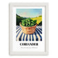 Coriander – Green Valley Landscape, Fresh Herbs Wall Decor, placed in minimal white frame