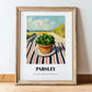 Parsley – Valley Café Scene, Fresh Herbs Painting, in wooden frame leaning on the floor