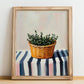 Thyme – on Striped Tablecloth, Fresh Herbs Still Life, no-text version framed in wood