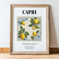 Capri, Italy – Cultural Heritage Wall Art, in wooden frame leaning on the floor