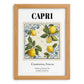 Capri, Italy – Cultural Heritage Wall Art, set in oak frame