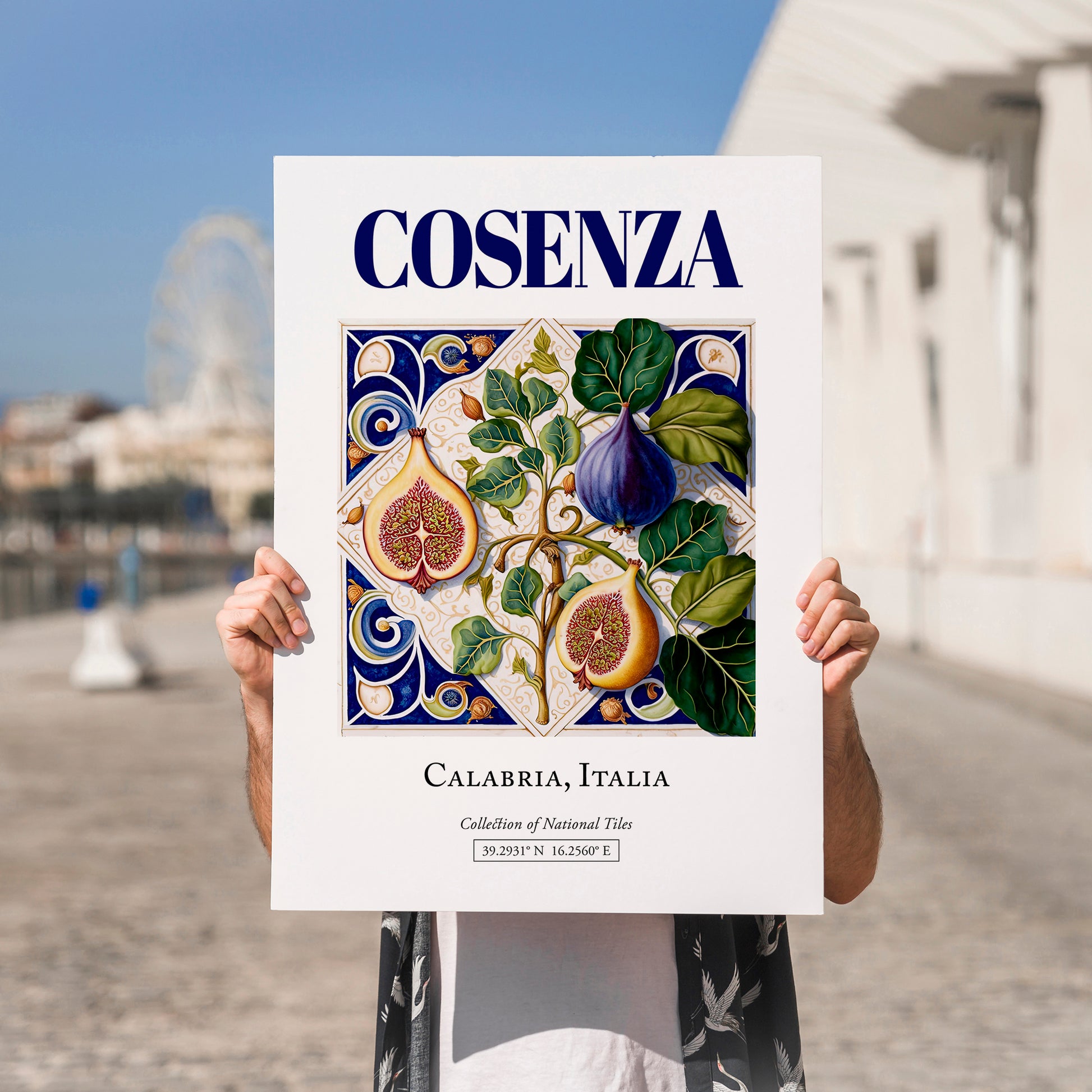 Cosenza, Italy – Travel Poster, no-text version framed in wood